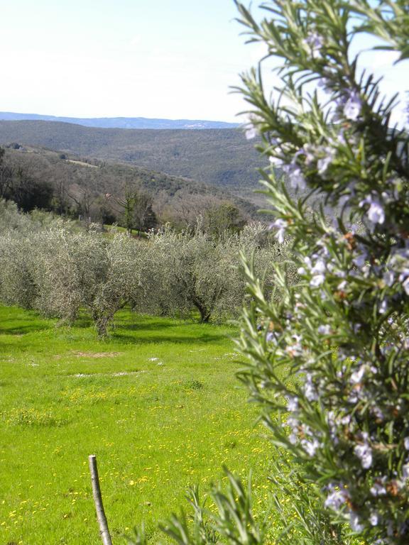 Agriristoro Podere S. Andrea Massa Marittima Bagian luar foto