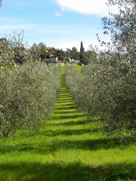 Agriristoro Podere S. Andrea Massa Marittima Bagian luar foto