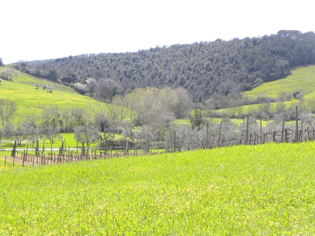 Agriristoro Podere S. Andrea Massa Marittima Bagian luar foto