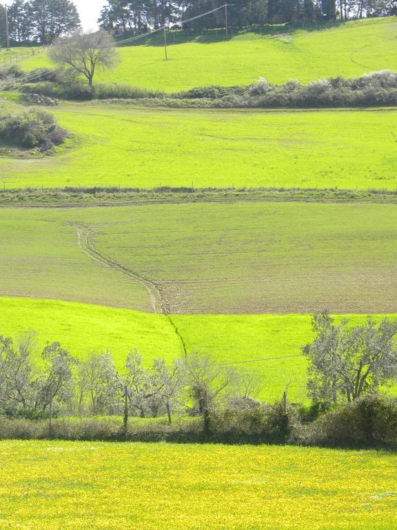 Agriristoro Podere S. Andrea Massa Marittima Bagian luar foto