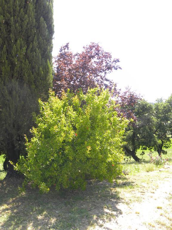 Agriristoro Podere S. Andrea Massa Marittima Bagian luar foto