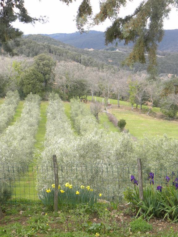 Agriristoro Podere S. Andrea Massa Marittima Bagian luar foto