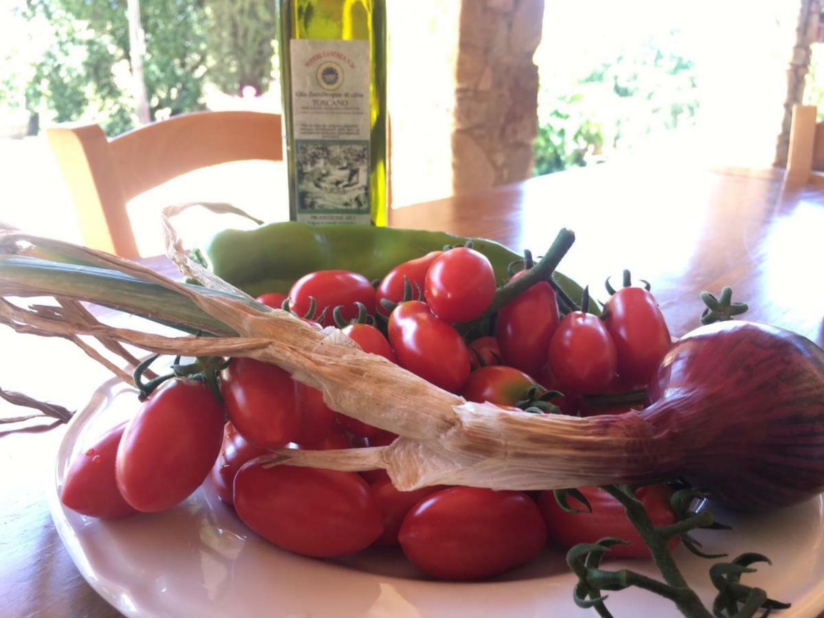 Agriristoro Podere S. Andrea Massa Marittima Bagian luar foto