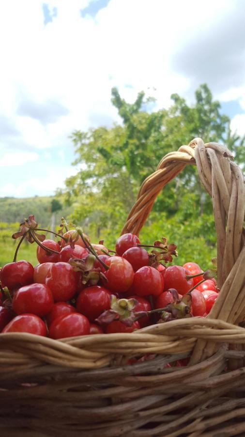 Agriristoro Podere S. Andrea Massa Marittima Bagian luar foto
